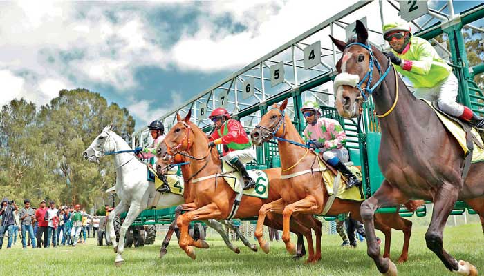 Royal Turf Club